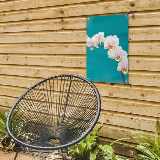 Décoration de jardin Orchidée - Fleurs - Plante - Wit - Violet - 40x60 cm - Poster jardin - Toile jardin - Poster extérieur