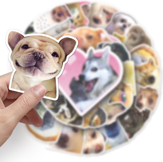 5-300 Pc Meme Stickers - Internet funny DIY stickers for hydroflask laptop luggage... Waterproof 100% Vinyl - België
