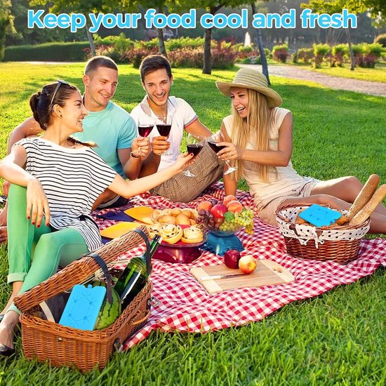 Set van 2 ultradunne koelaccu's (200ml) voor lunchtas en coolbox — afbeelding 4