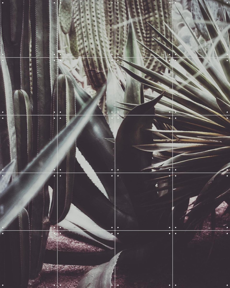 IXXI Polaroids From Saint Laurent 01, STUDIO HANNAH LEMHOLT - 80 x 100 cm - Gratis ophangtool - Grote wanddecoratie en posters - Fotografie