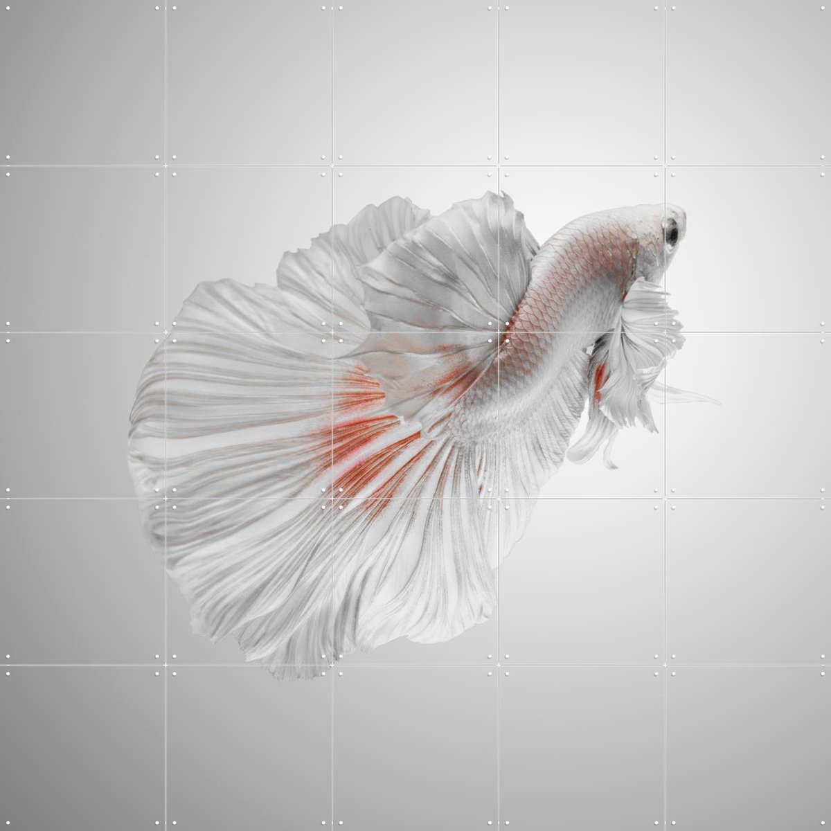 IXXI White Betta, Andi Halil & Various - 100 x 100 cm - Gratis ophangtool - Grote wanddecoratie en posters - Digitale Kunst, Fotografie, Slaapkamer