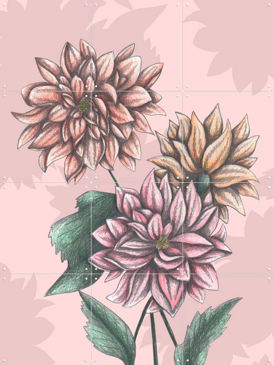 IXXI Pink Dahlias, Cecilia Battaini - 60 x 80 cm - Gratis ophangtool - Grote wanddecoratie en posters - Illustraties, Tekeningen, Slaapkamer
