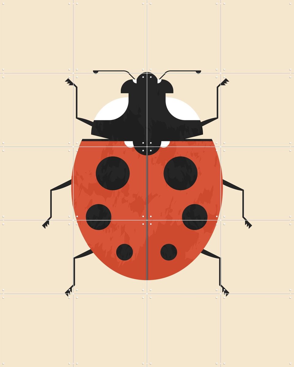 IXXI The Ladybug, Studio Kars + Boom - 80 x 100 cm - Gratis ophangtool - Grote wanddecoratie en posters - Grafisch Ontwerp, Speels, Digitale Kunst