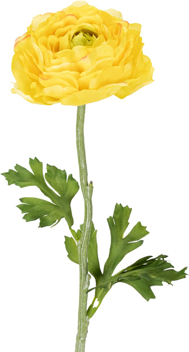 Viana Kunstmatige ranunculus als enkele bloem voor elegante en onderhoudsvri Geel