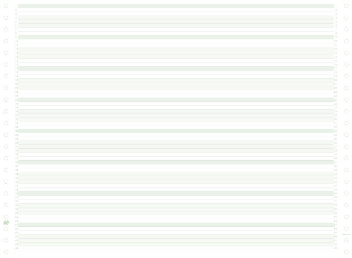 Exacompta 2000 listingbladen in zones verdeeld 380x11 niet afscheurbare Caroll banden papier 70g - - 66311E