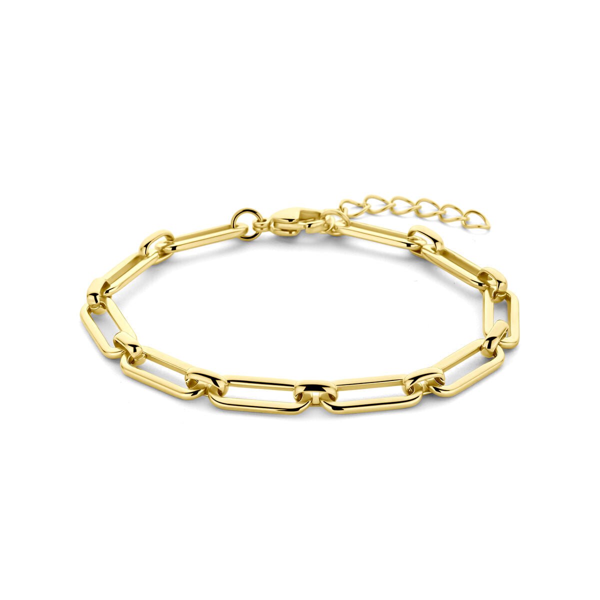 Edelstalen armband ion plating 5,5 mm 17 + 3 cm - 6506159
