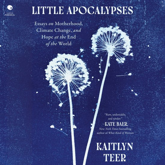Little Apocalypses - cover