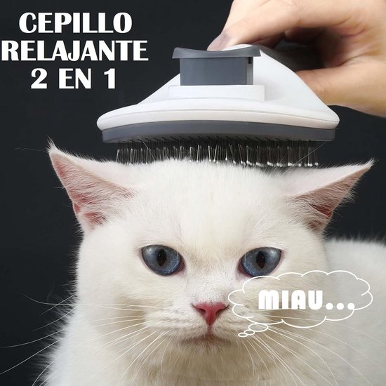 Witte kat met blauwe ogen die geborsteld wordt met een grijze en witte borstel.