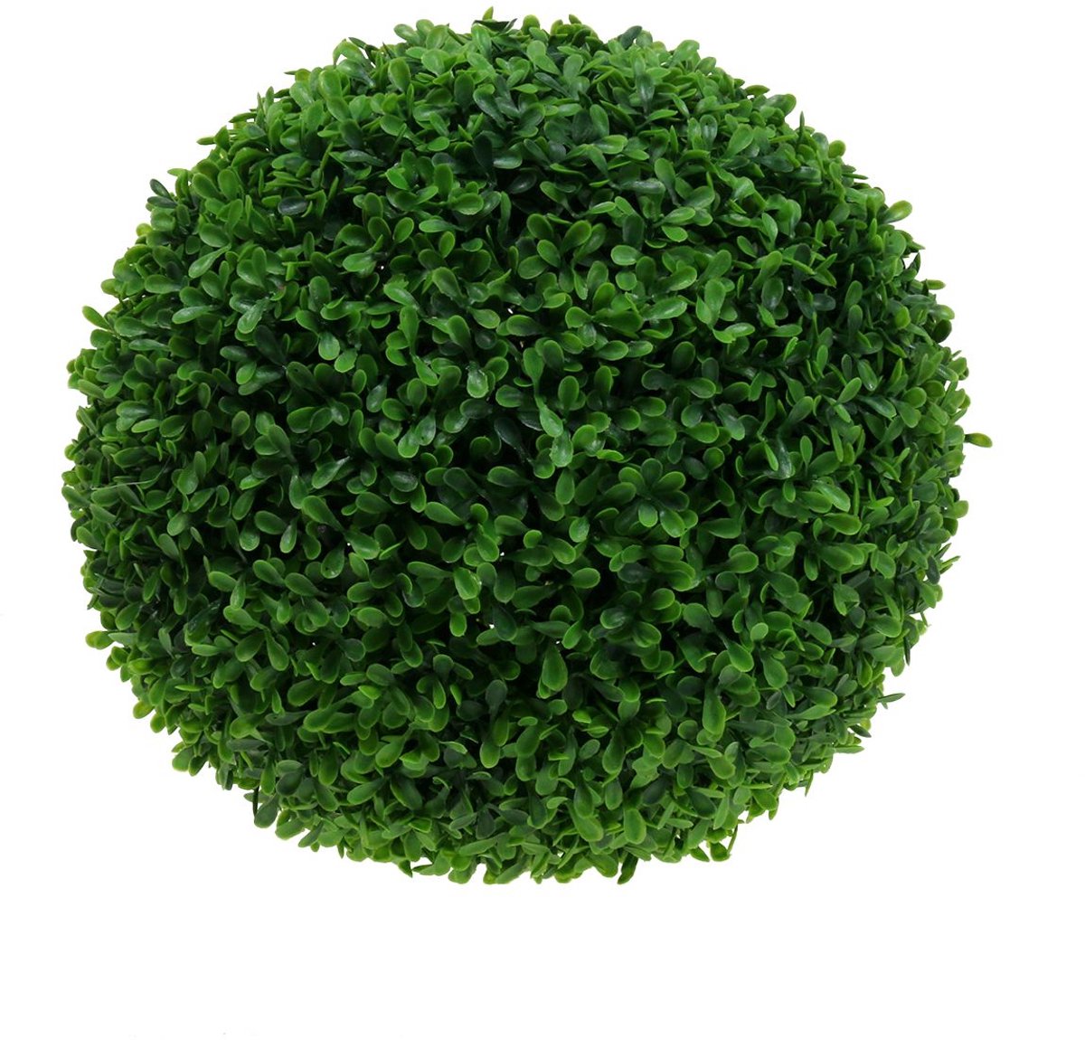 Buxus bol groen Ø25cm