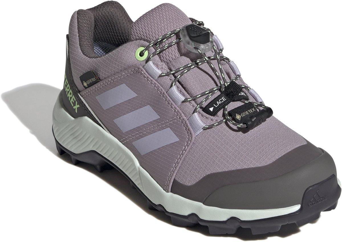 Wandelschoenen voor kinderen adidas Terrex Gore-Tex Paars
