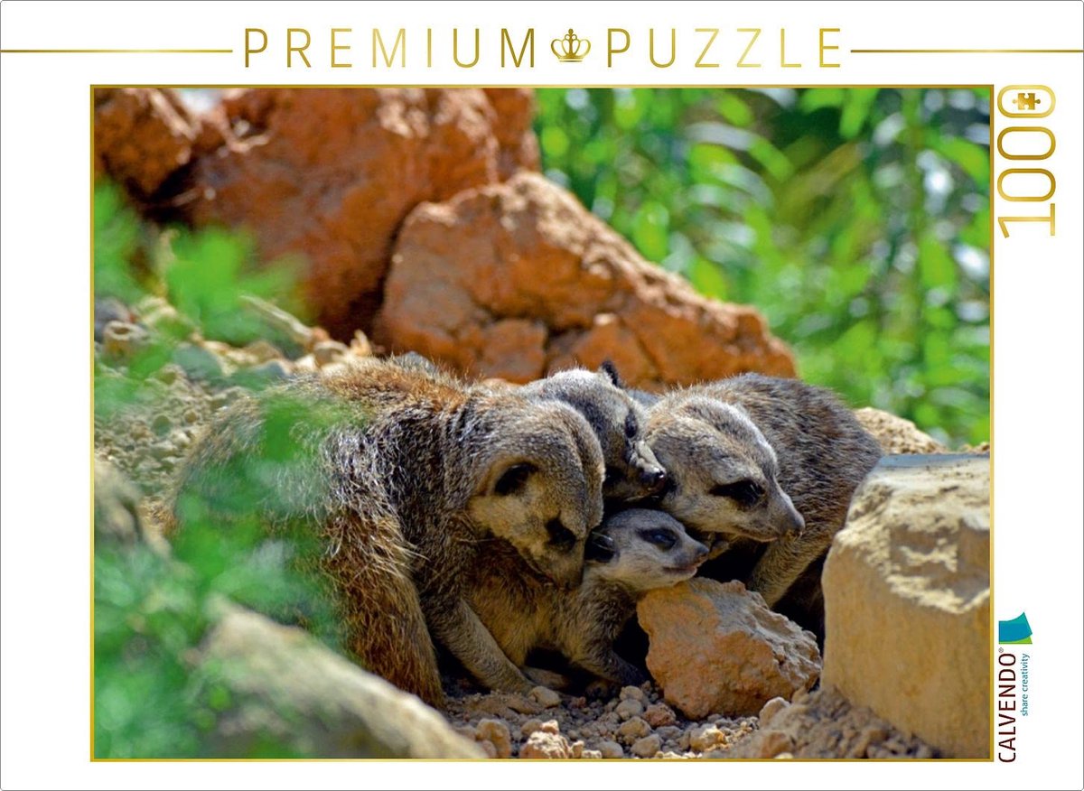 Fotopuzzel 1000 Stukjes - Dierenpuzzel Baby's - Ontspannend Tijdverdrijf - Gedetailleerd Natuurbeeld - 64 x 48 cm - Natuurlijk