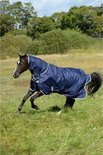 Bruin paard met donkerblauwe Bucas deken met capuchon en zilveren randen.