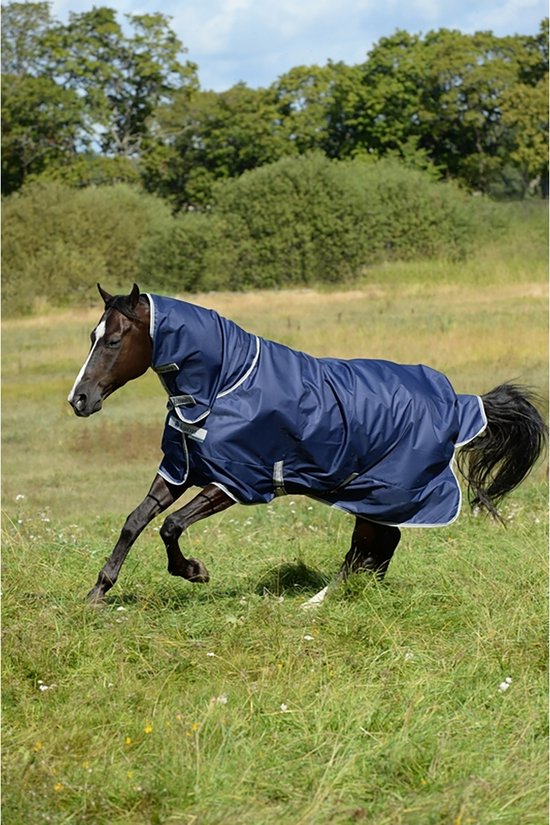 Bruin paard met donkerblauwe Bucas deken met capuchon en zilveren randen.