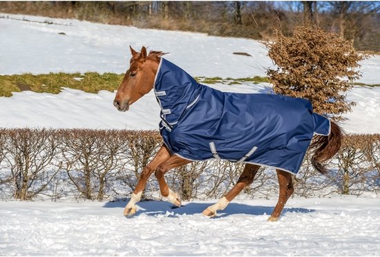 Bruin paard met donkerblauwe Bucas deken met capuchon en zilveren randen, in de sneeuw.
