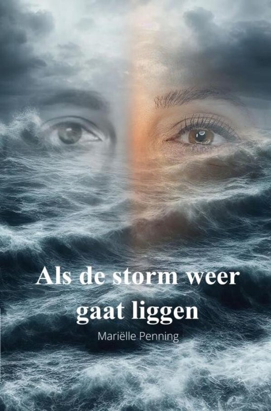 Als de storm weer gaat liggen - cover