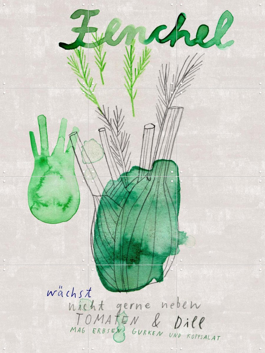 IXXI Fenchel, Signorinah - 60 x 80 cm - Gratis ophangtool - Grote wanddecoratie en posters - Aquarel, Line art, Speels, Illustraties, Keuken