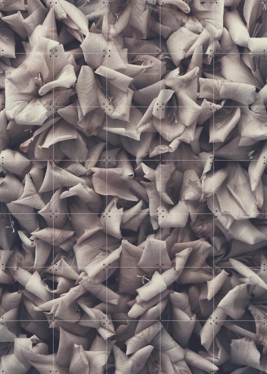 IXXI Eternum, STUDIO HANNAH LEMHOLT - 100 x 140 cm - Gratis ophangtool - Grote wanddecoratie en posters - Fotografie, Minimalisme, Slaapkamer