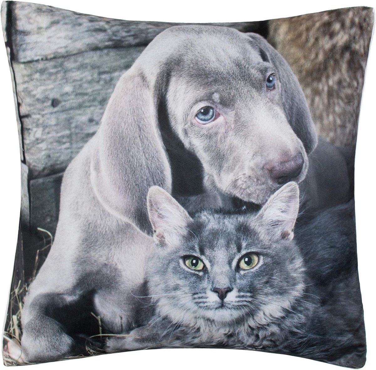 Sierkussen met Diermotief - Honden, Puppy en Kat - 40 x 40 cm