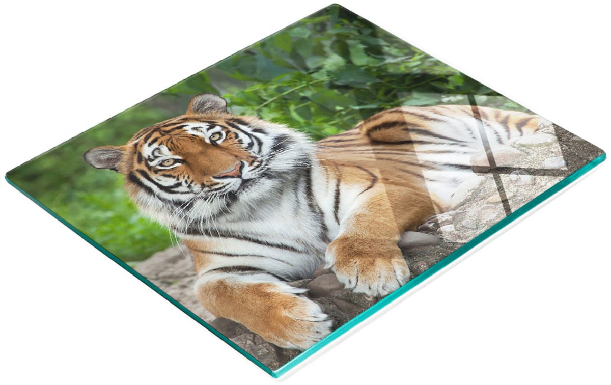 Keukenplank van gehard glas met afbeelding van een Siberische tijger, 60x52 cm