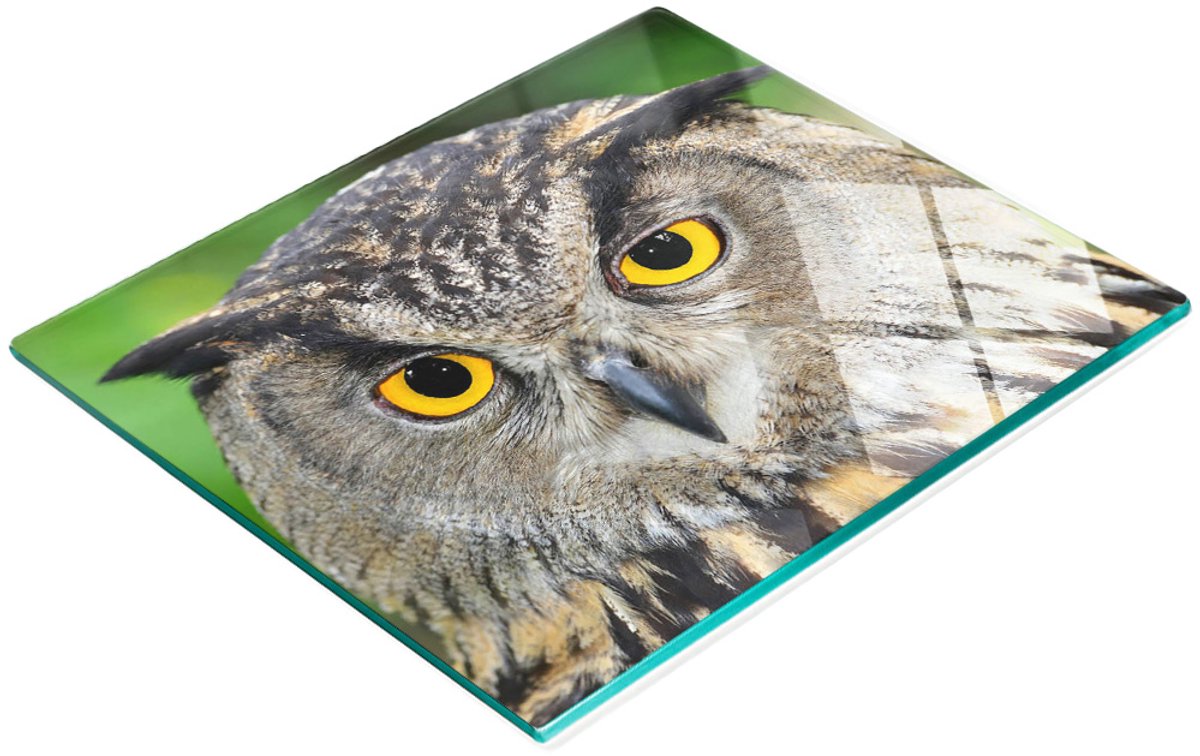 Duurzame en stijlvolle snijplank van gehard glas met uilenpatroon, 60x52 cm