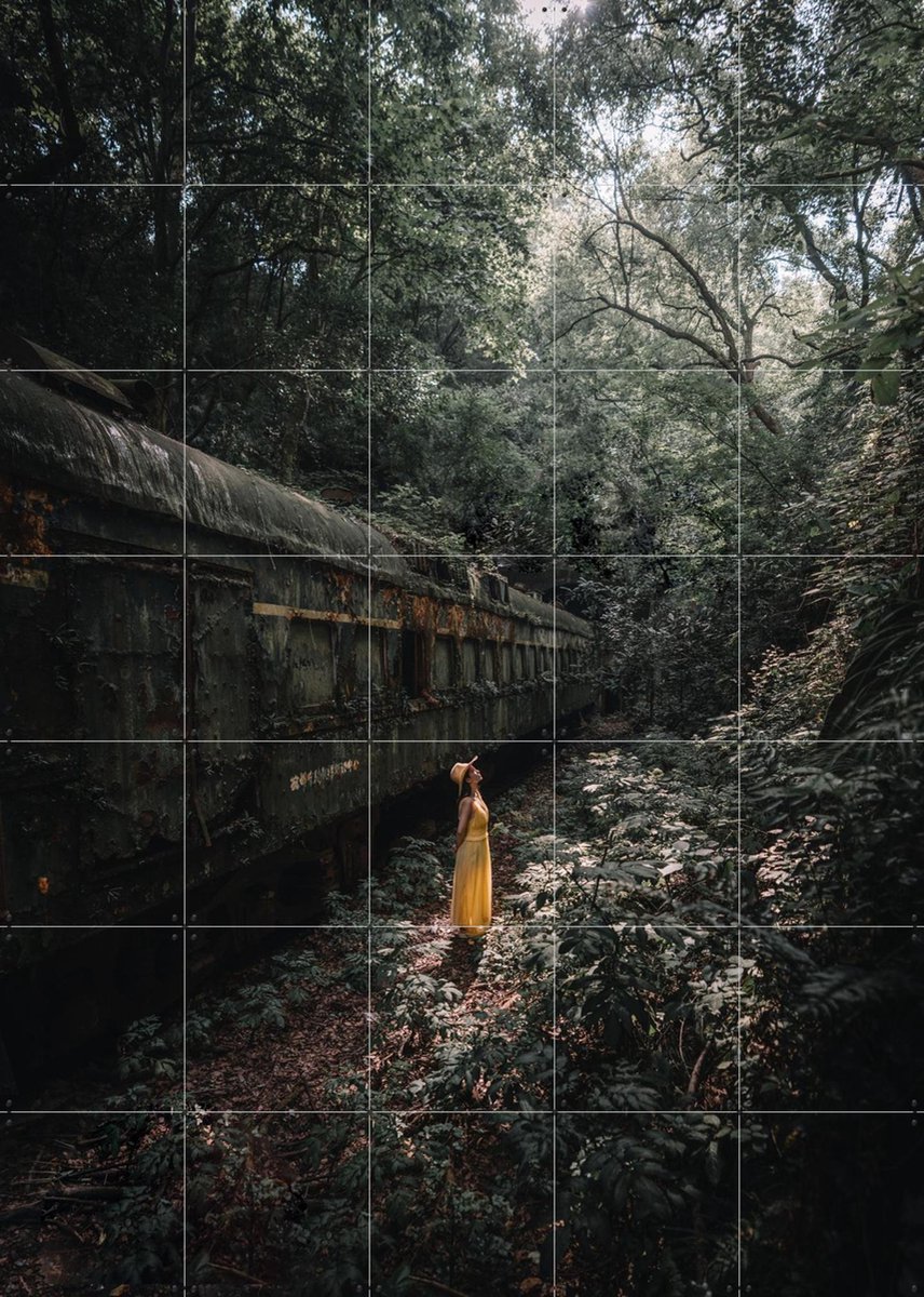 IXXI Forest, Tristan Zhou - 100 x 140 cm - Gratis ophangtool - Grote wanddecoratie en posters - Fotografie, Mancave, Woonkamer, Slaapkamer, Bossen