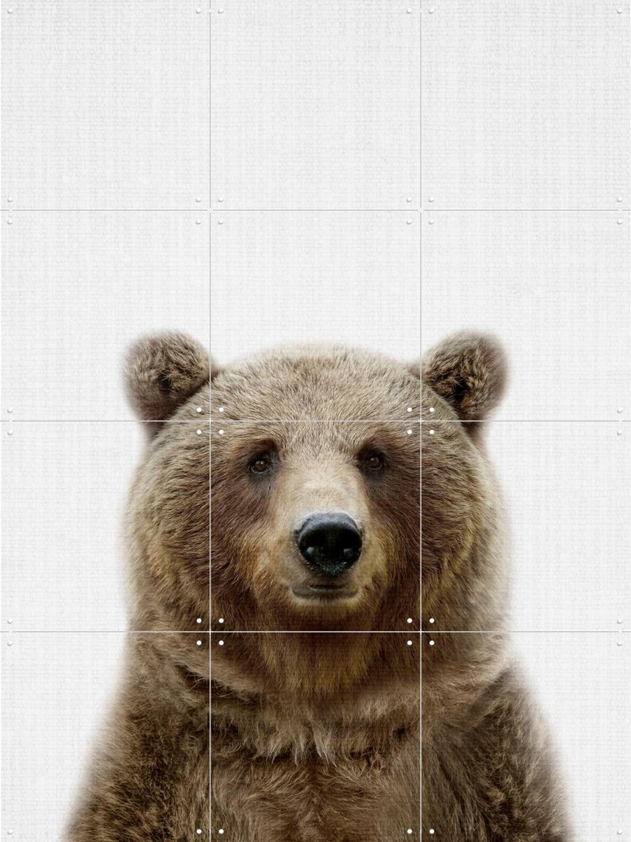 IXXI Bear, Lila + Lola - 60 x 80 cm - Gratis ophangtool - Grote wanddecoratie en posters - Realisme, Fotografie, Grafisch Ontwerp, Kinderkamer