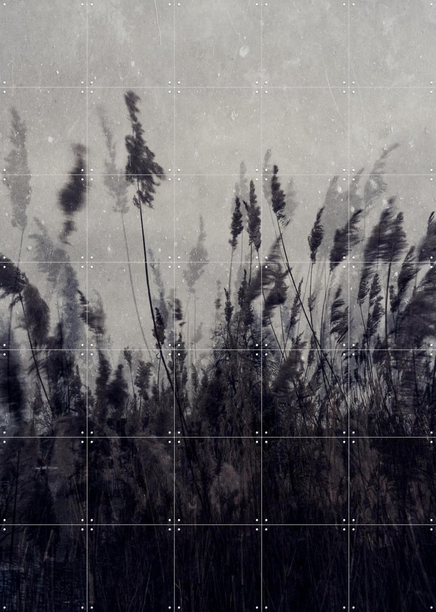 IXXI Waving Grass, Photolovers - 100 x 140 cm - Gratis ophangtool - Grote wanddecoratie en posters - Fotografie, Abstract, Vintage, Minimalisme