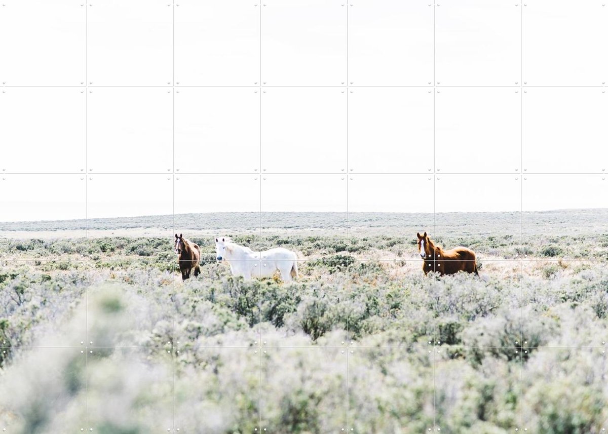 IXXI Wild Horses, Chris Abatzis - 140 x 100 cm - Gratis ophangtool - Grote wanddecoratie en posters - Fotografie, Naturalisme, Slaapkamer, Woonkamer