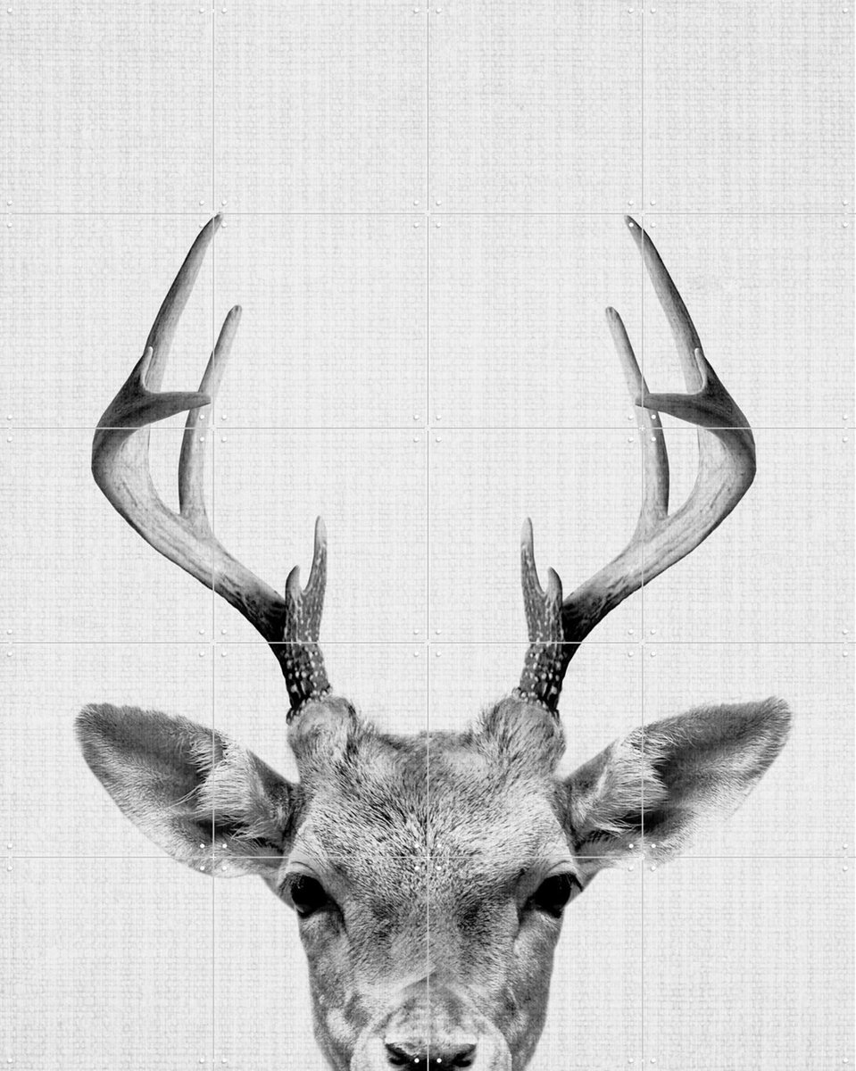 IXXI Print 38 Deer, Lila + Lola - 80 x 100 cm - Gratis ophangtool - Grote wanddecoratie en posters - Fotografie, Minimalisme, Woonkamer, Babykamer