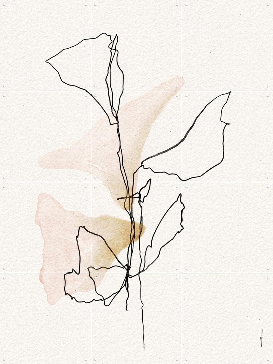 IXXI Minimal Bloom Lines, Ankie Kooi & Various - 60 x 80 cm - Gratis ophangtool - Grote wanddecoratie en posters - Line art, Aquarel, Minimalisme