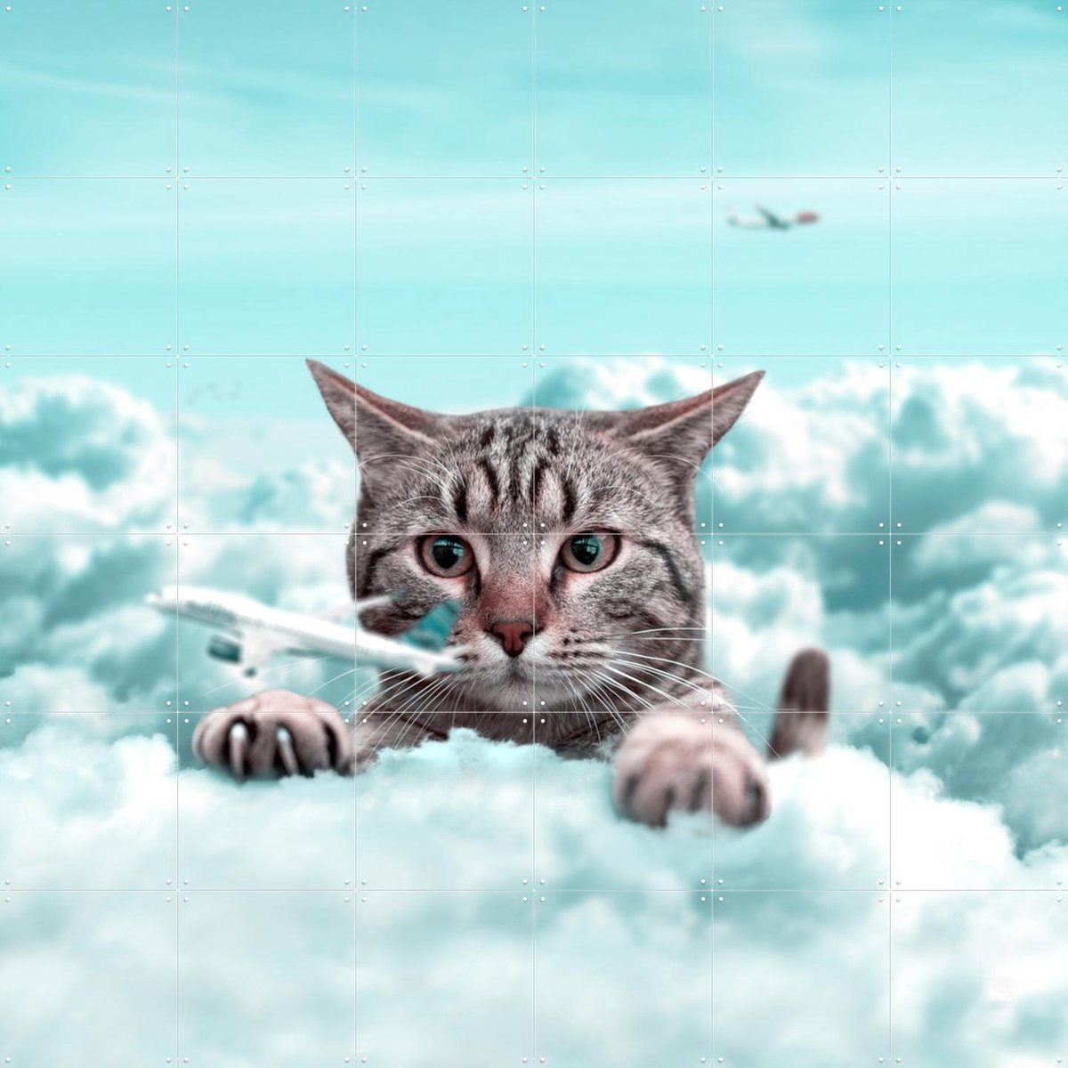 IXXI Curious, Julien Tabet - 120 x 120 cm - Gratis ophangtool - Grote wanddecoratie en posters - Speels, Digitale Kunst, Fotografie, Surrealisme