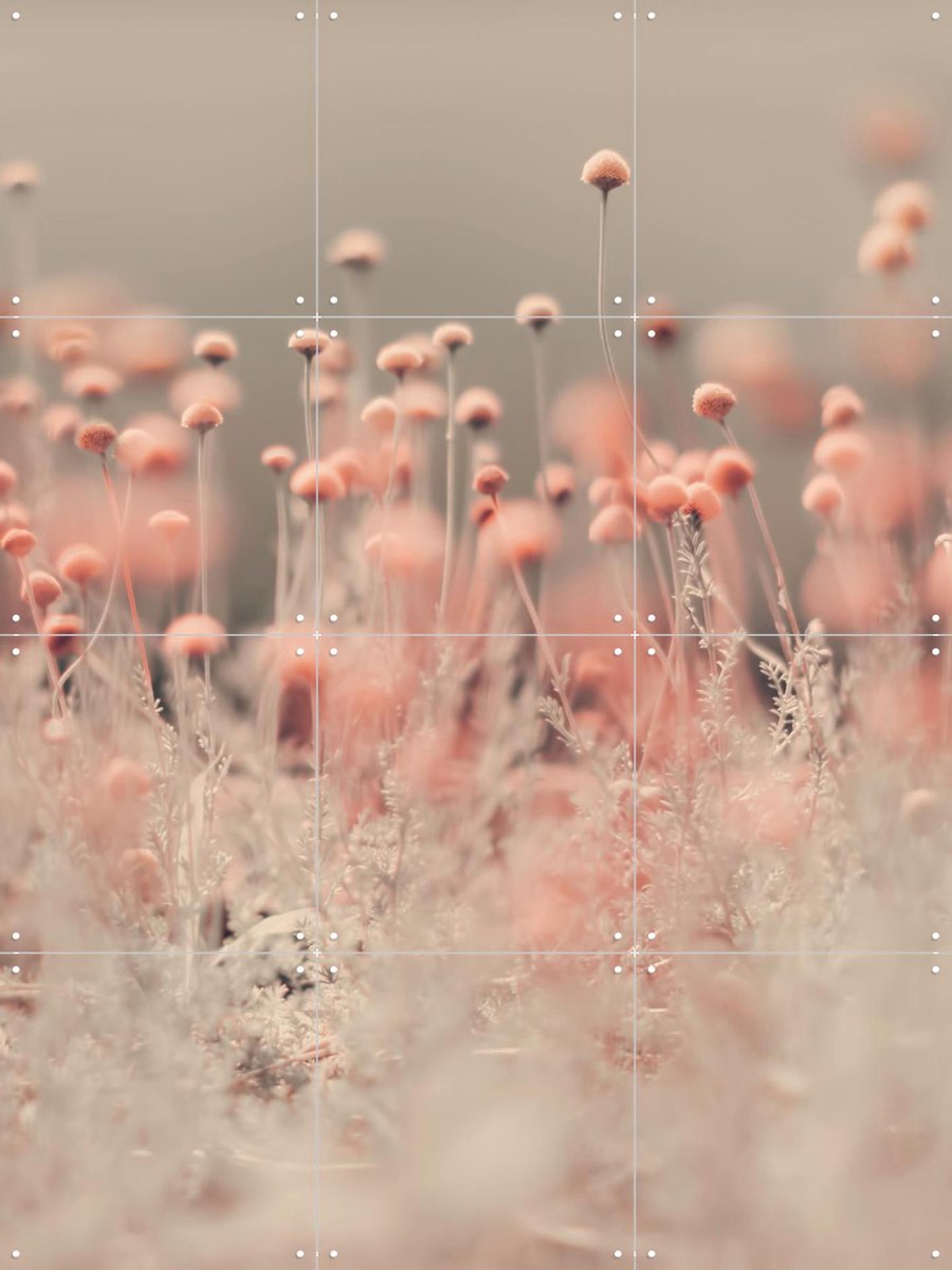 IXXI Pink Wild Flowers, Ingrid Beddoes - 60 x 80 cm - Gratis ophangtool - Grote wanddecoratie en posters - Fotografie, Impressionisme, Woonkamer
