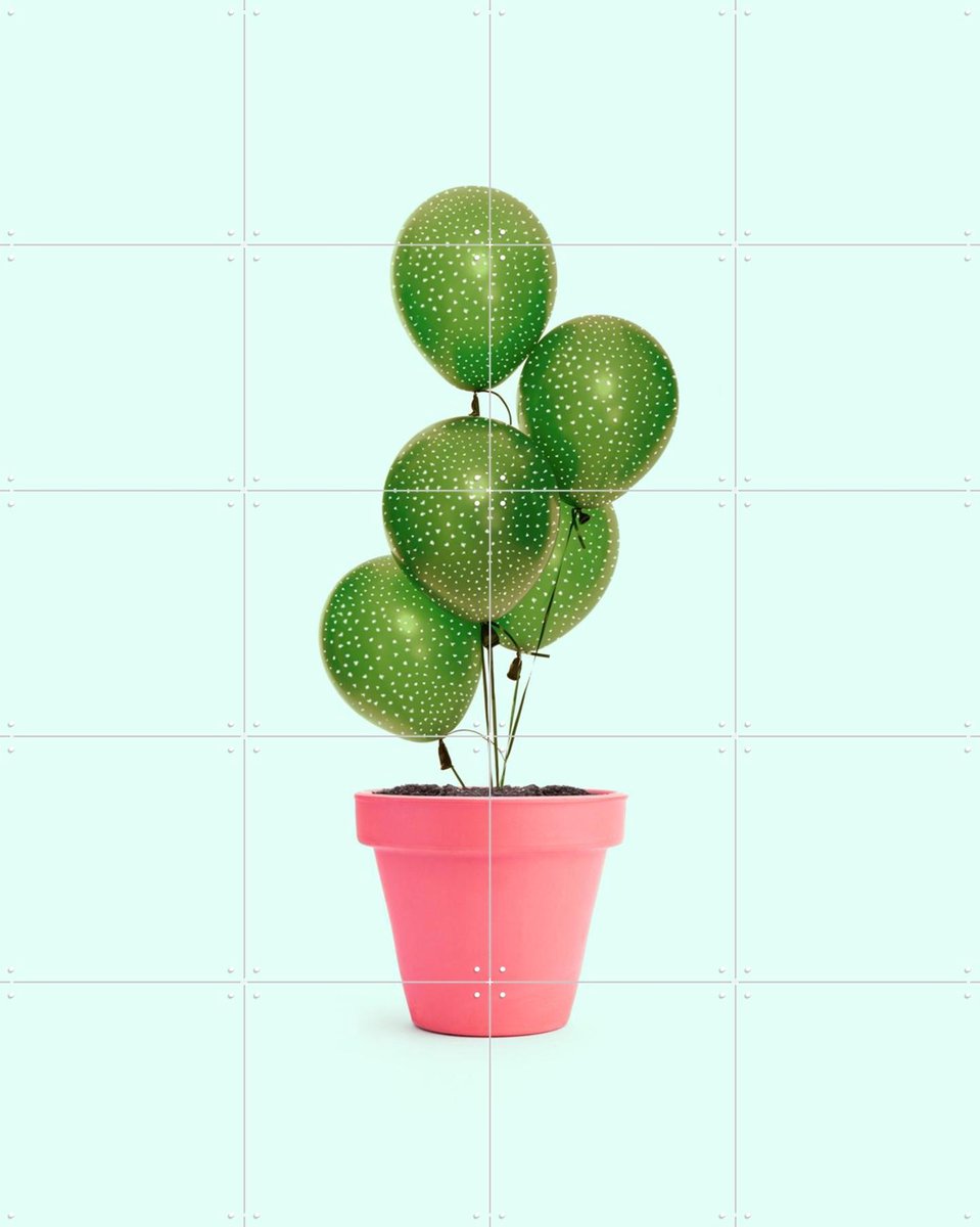 IXXI Cactus Balloon, Paul Fuentes - 80 x 100 cm - Gratis ophangtool - Grote wanddecoratie en posters - Speels, Digitale Kunst, Fantasierijk
