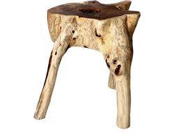 Houten Kruk - Boomstam bijzettafel - Buitenmeubel - Uniek Unicaat - 42x35x36 cm - Teak