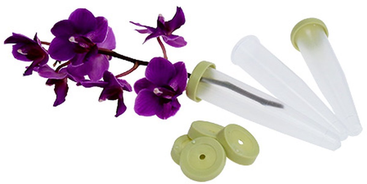 Bloembuisje met dop 8 cm - set van 20 stuks