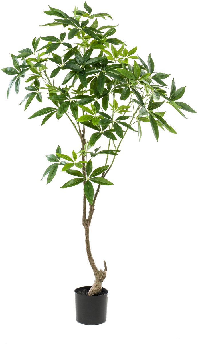 Kunstplant Pachira - Textiel / Metaal - Groen - 80x150x80 cm (BxHxD)