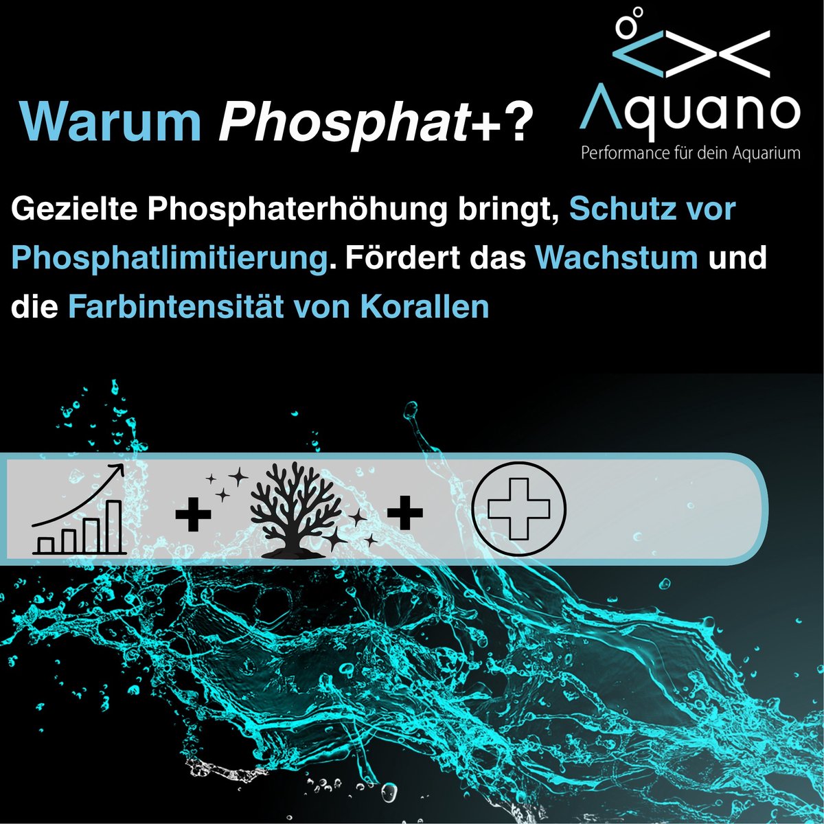 Phosphat Plus 1000ml – Fosfaatconcentraat voor zeewateraquaria