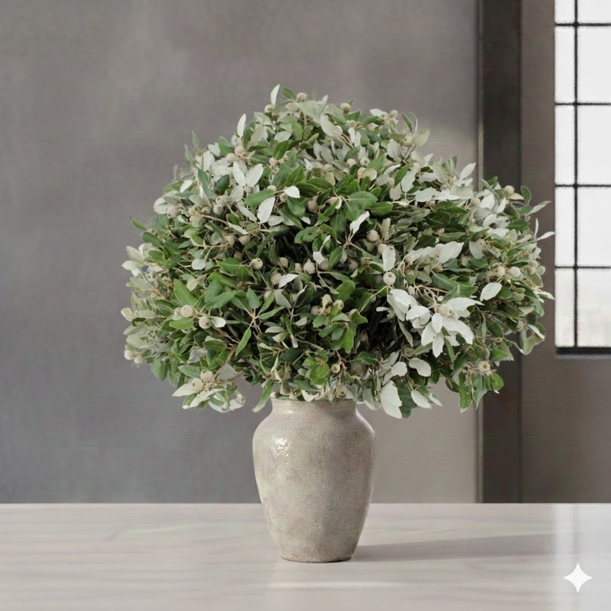 Verse Steeneik takken | 250 gram per bundel | Lengte 65 - 70 centimeter | Per bos
