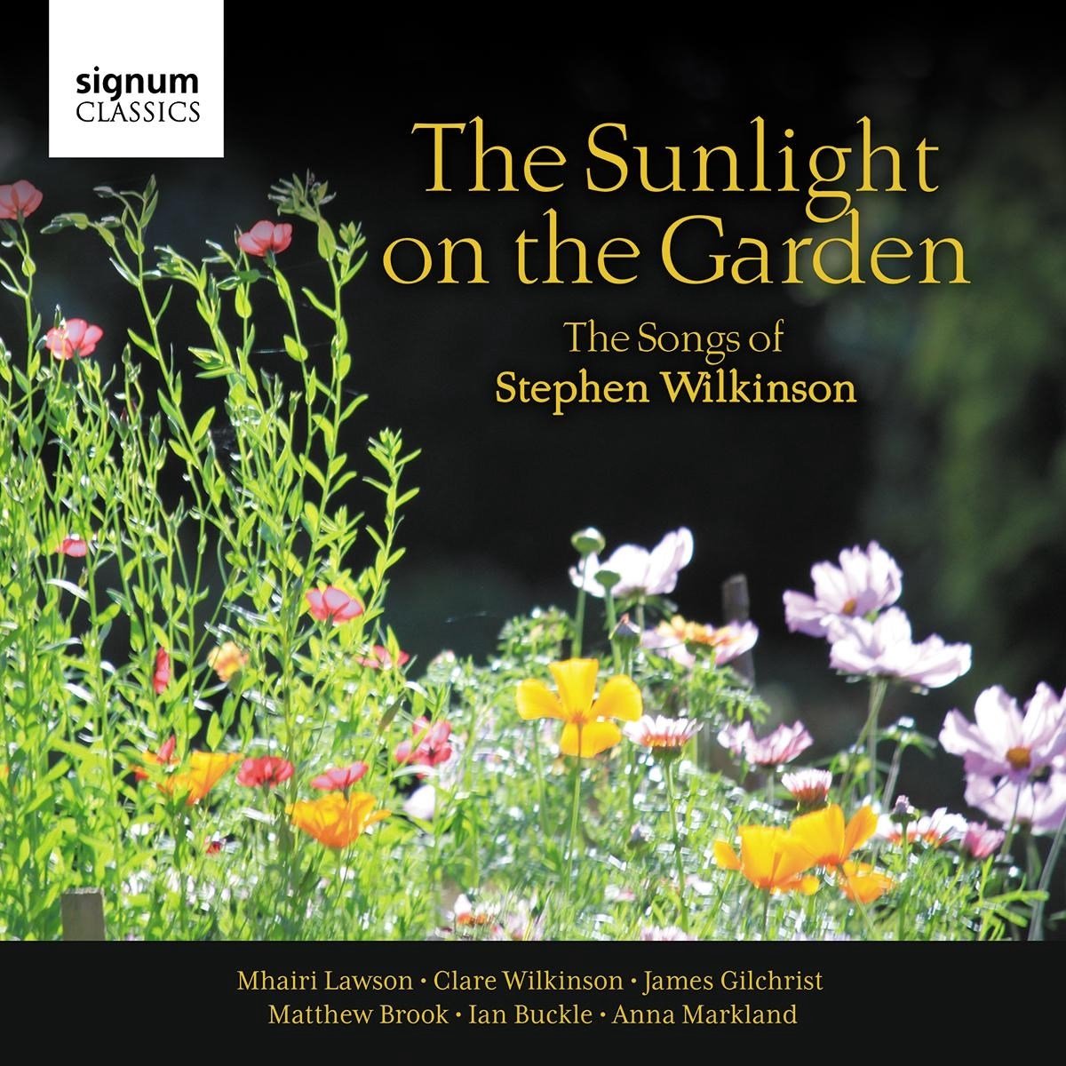 The Sunlight On The Garden