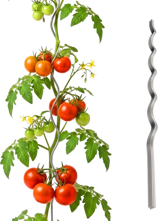 Tomaten spiraalstokken - 170 cm - 20 stuks