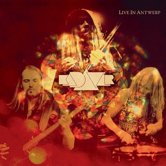 Live in Antwerp
