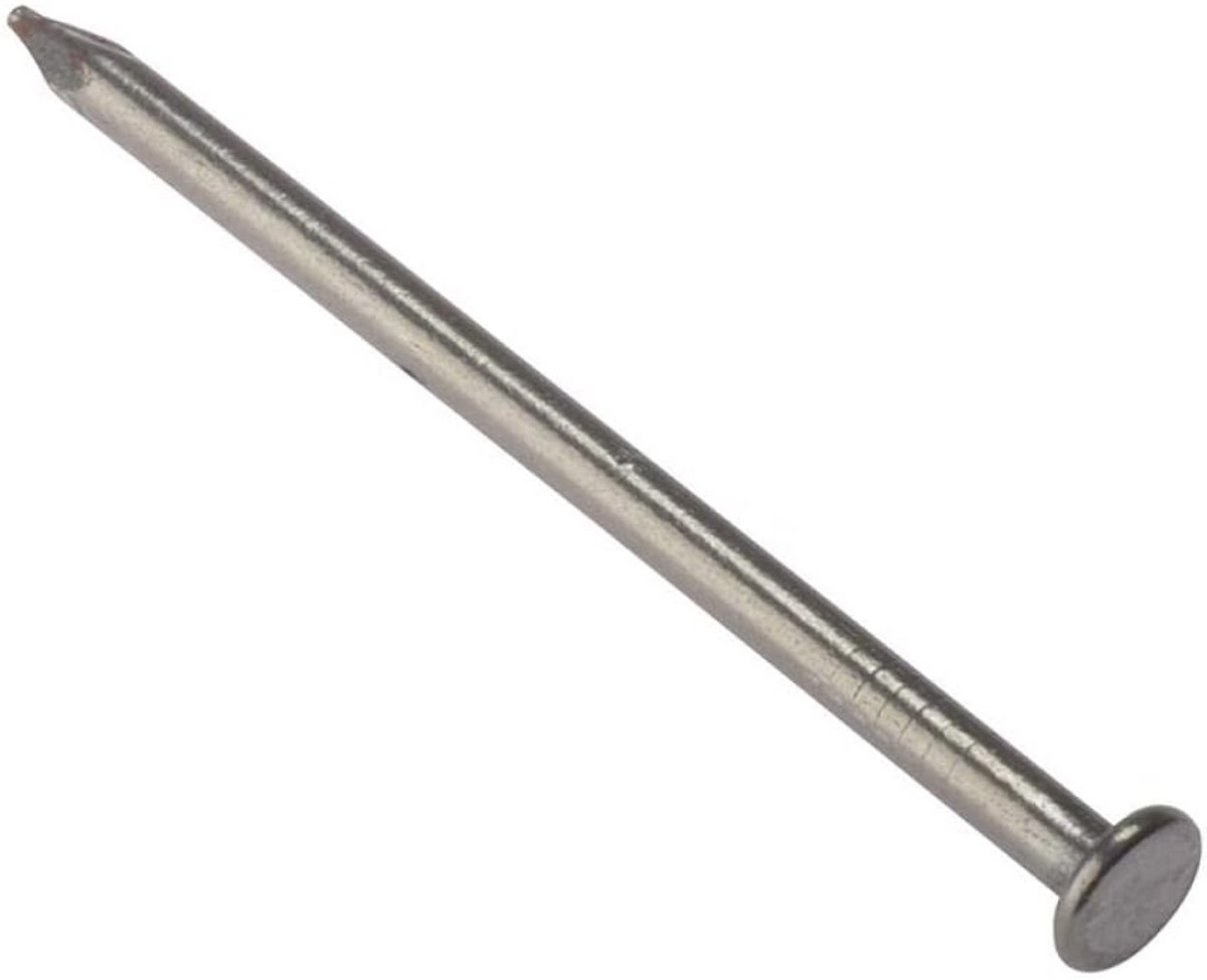 Ronde Kop Nagel Blank 100mm 2.5kg - Sterke Spijker voor Algemeen Gebruik