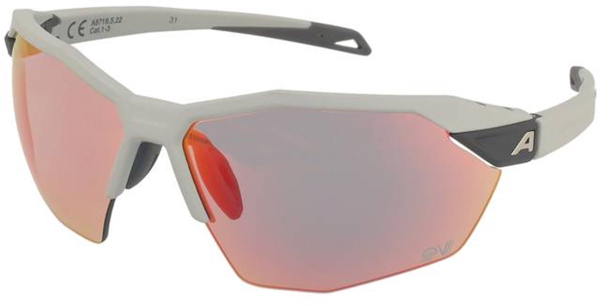 Zonnebrillen Alpina Twist Six HR QV Smoke Grey/Rainbow Mirror