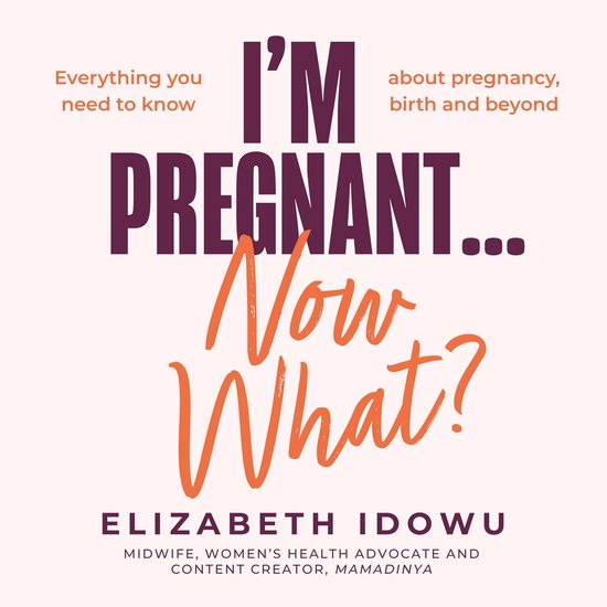 I’m Pregnant … Now What? - cover