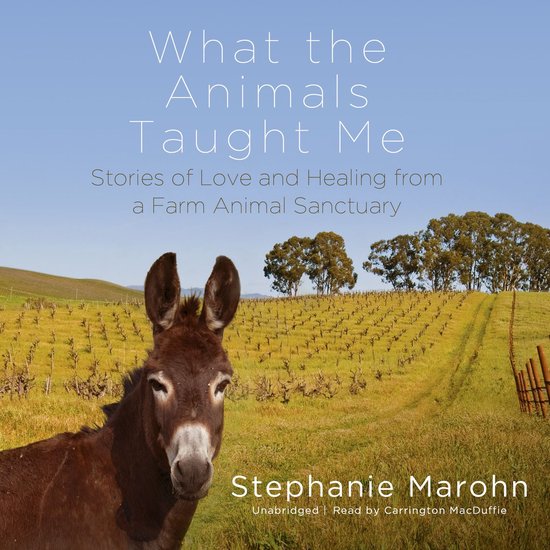 What the Animals Taught Me - cover