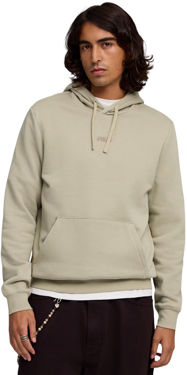 Puma Sweater Heren ESS No.1 Logo Centered Hoodie Grijs