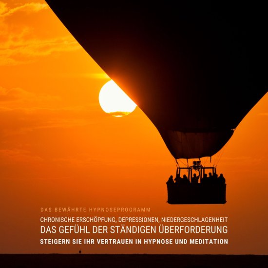 Chronische Erschöpfung, Depressionen, Niedergeschlagenheit, ... - cover