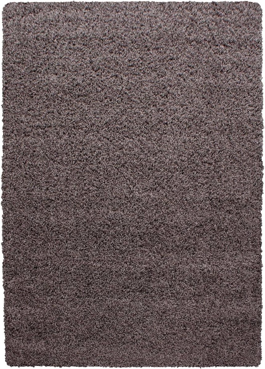 Hoogpolig Vloerkleed - Shaggy Kleed - Woonkamer Decoratie - Vloerverwarming Geschikt - 240