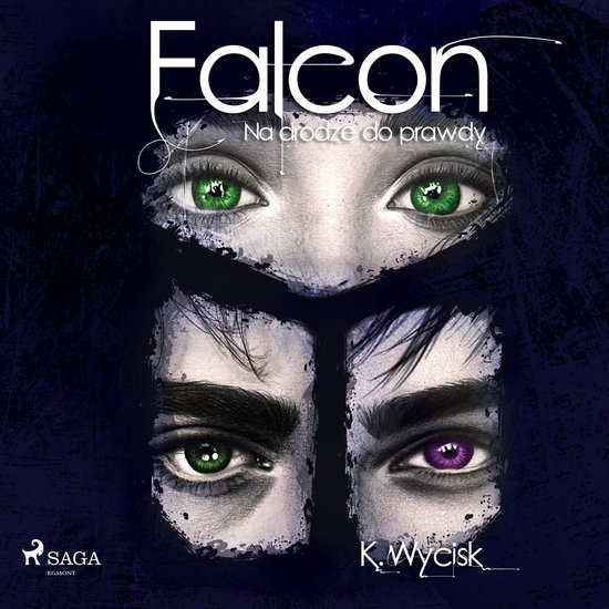 Falcon III Na drodze do prawdy - cover