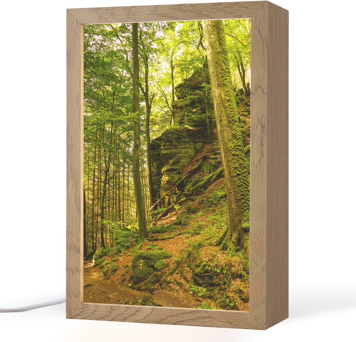 Tafellamp 20x30 cm - LED lamp - Bomen - Steen - Bos - Natuur - Planten - Decoratieve tafellampen - Dimbaar - Tafellampje slaapkamer - Woonkamer binnen